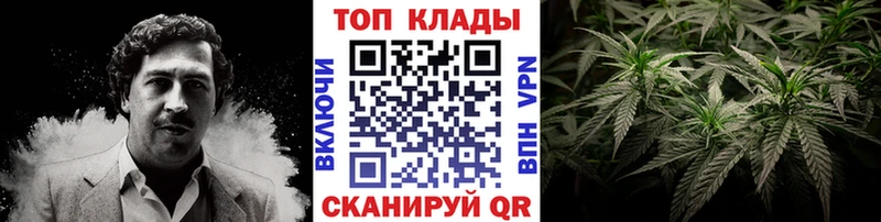 Конопля Сухиничи