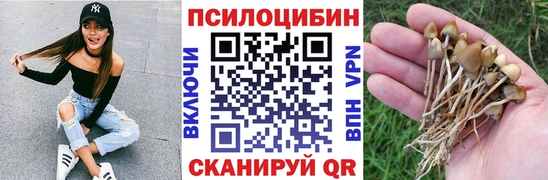 Псилоцибиновые грибы прущие грибы  сколько стоит  Сухиничи 